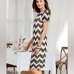 TALBOTS Black White Chevron Lace Short‎ Sleeve MIDI Dress Crochet 4P